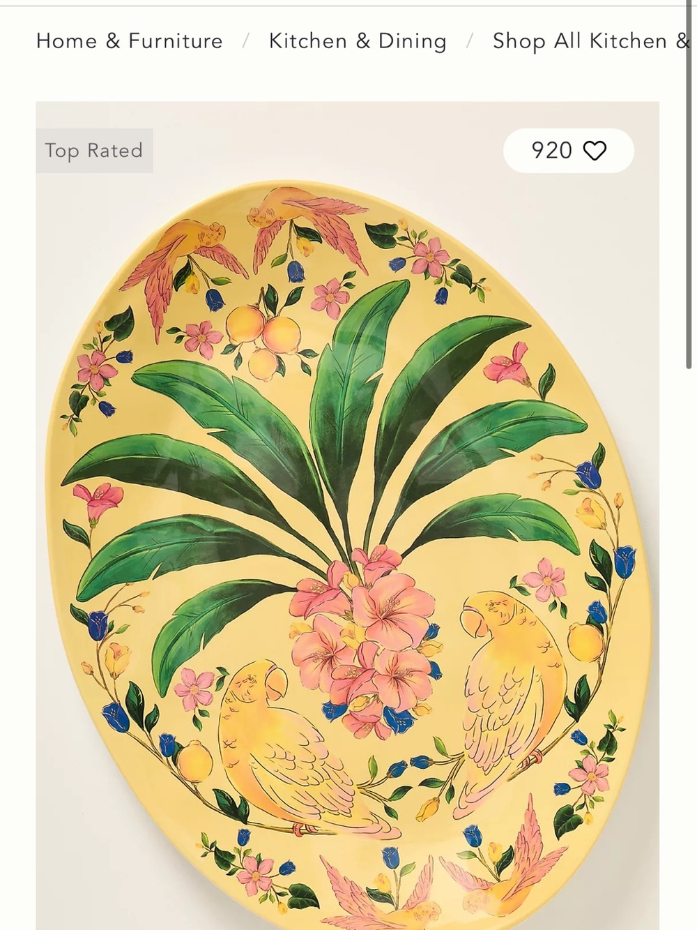 Farm Rio x Anthropologie Melamine Oval Platter